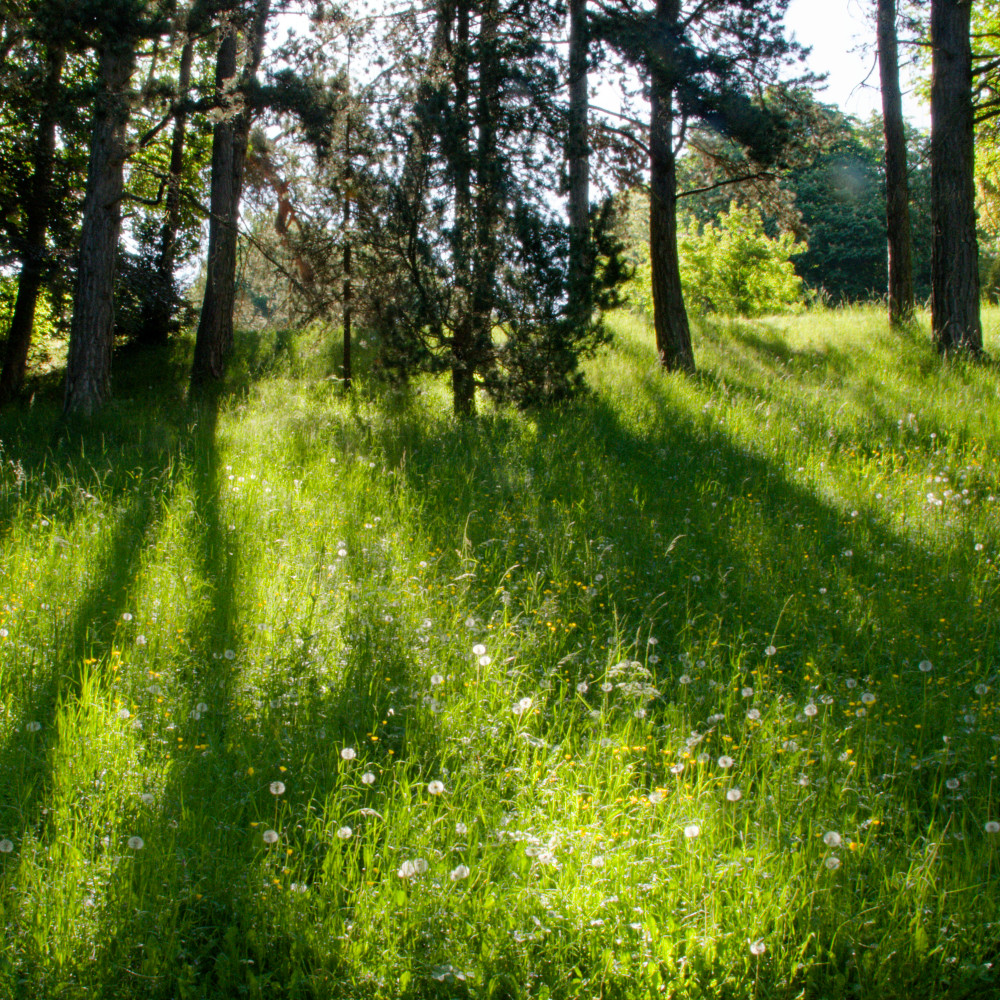 image: This is ‘
esch/uelzecht (lix) 4
’.