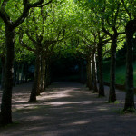 image: Image from the photoset ‘
esch/uelzecht (lix)
’.