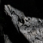 image: Image from the photoset ‘
belval (i)
’.