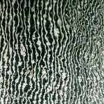 image: belval (iv) photoset