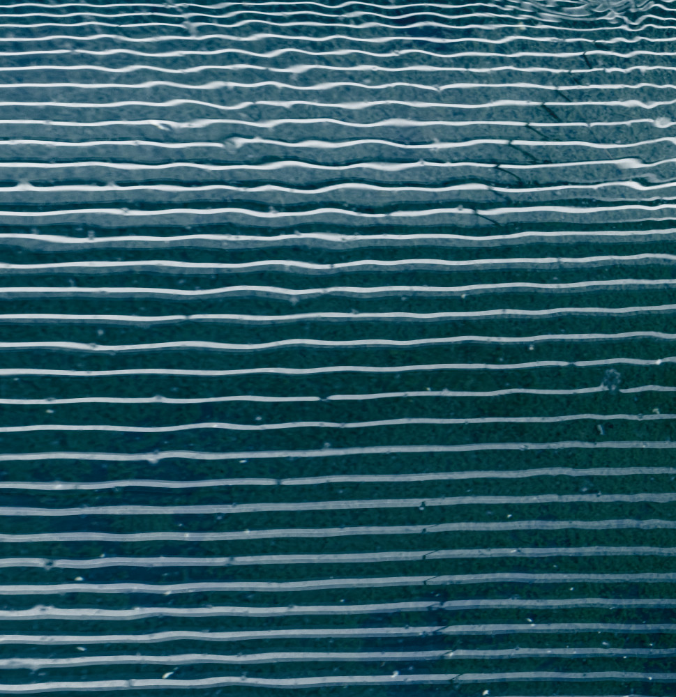 image: This is ‘
belval (v) 7
’.