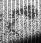 image: Image from the photoset ‘
belval (vi)
’.