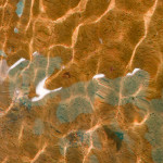 image: Image from the photoset ‘
belval (viii)
’.