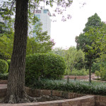 image: Image from the photoset ‘
zhengzhou
’.