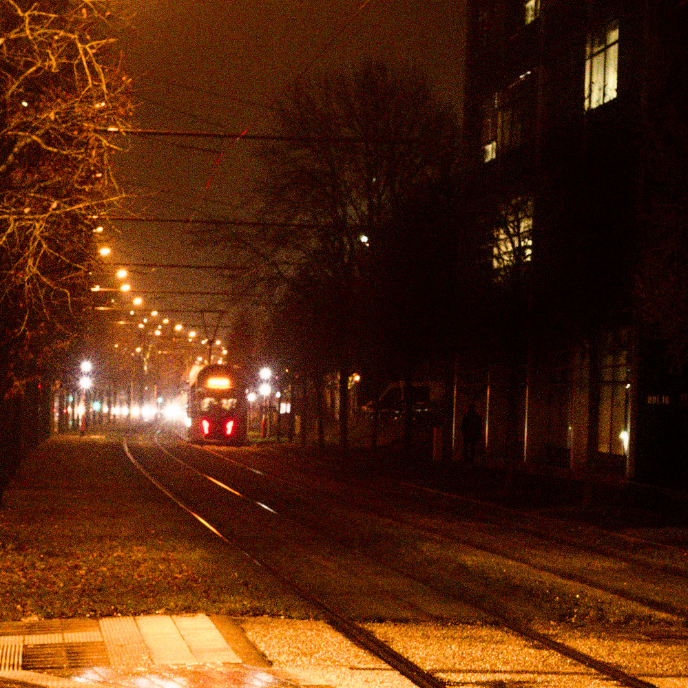 image: This is ‘
tram (iv) 5
’.