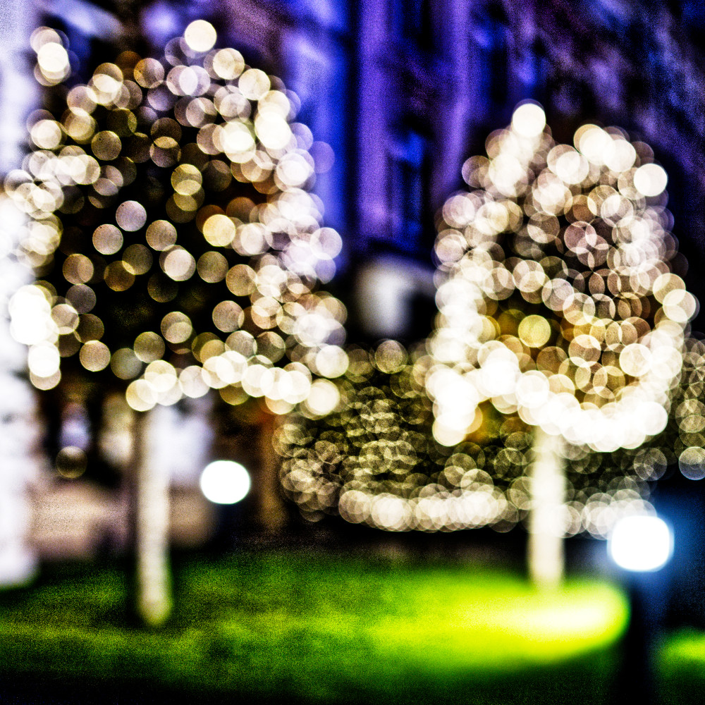 image: This is &lsquo;amnesty international (i) 2&rsquo;.