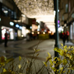 image: Image from the photoset &lsquo;amnesty international (ii)&rsquo;.