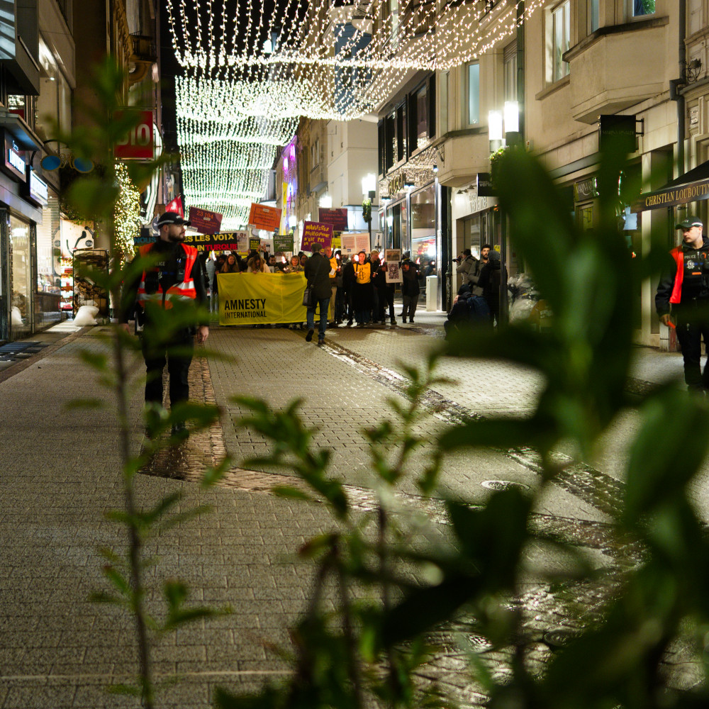 image: This is &lsquo;amnesty international (iii) 5&rsquo;.