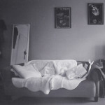 image: Image from the photoset &lsquo;doheem (v)&rsquo;.