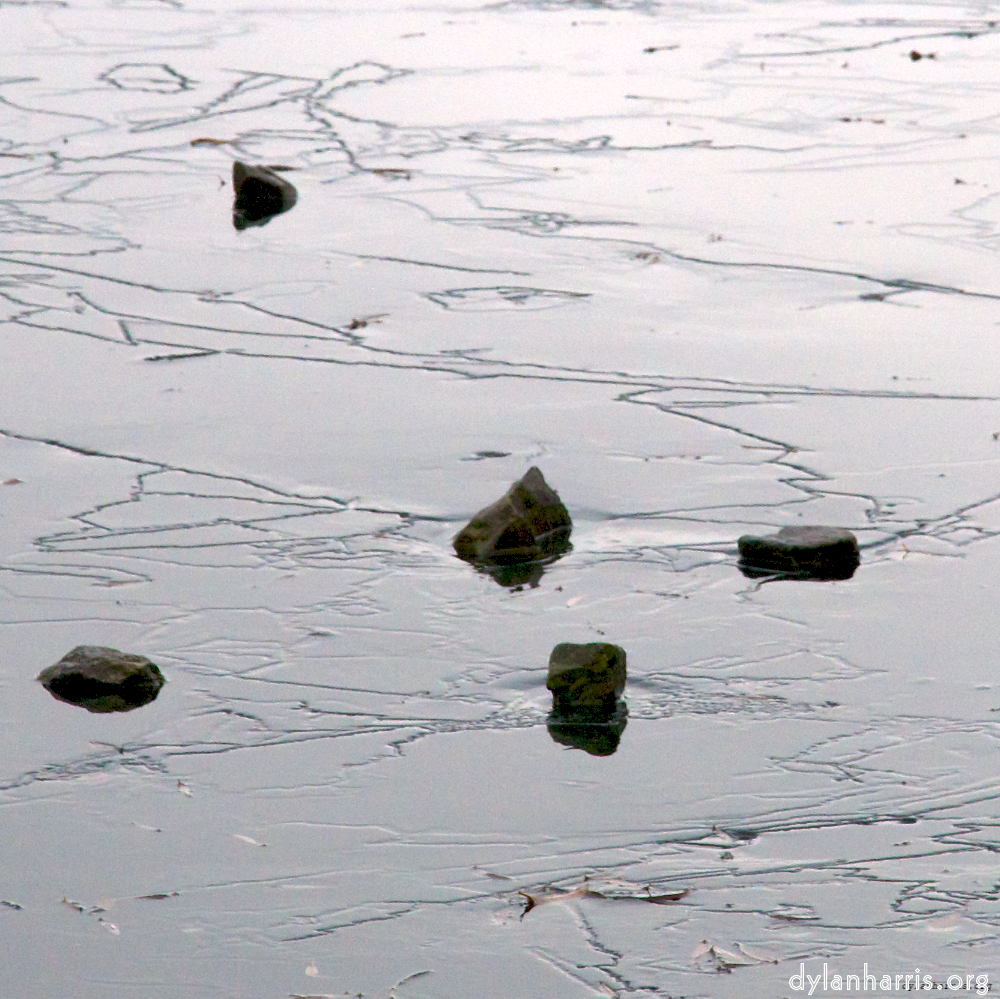 Image: Image 'stanwick (i) 1'.