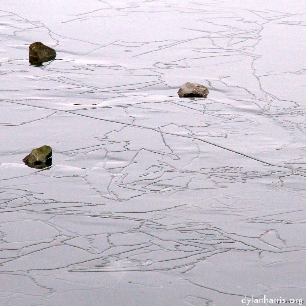 Image: Image 'stanwick (i) 4'.