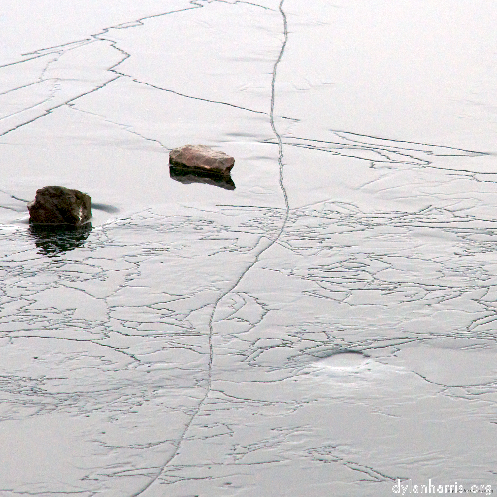 Image: Image 'stanwick (i) 5'.