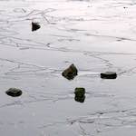 Image: First image from the photoset 'stanwick (i)'.