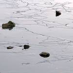 Image: Third image from the photoset 'stanwick (i)'.