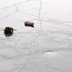 Image: Fifth image from the photoset 'stanwick (i)'.