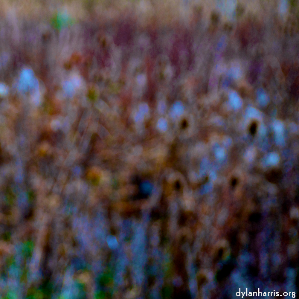 Image 'stanwick (ii) 6'.