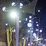 image: Image from the photoset ‘
L (xxiv)
’.