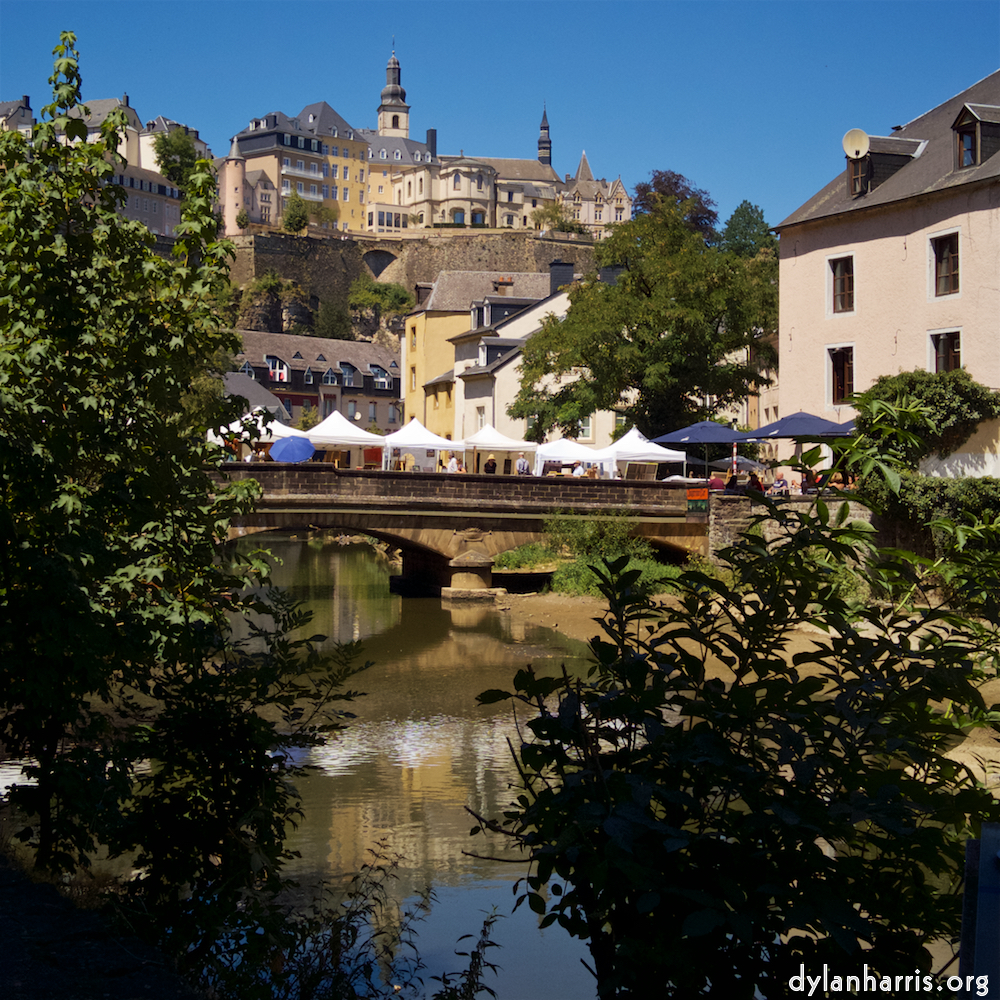 Image: relaxing in the sun