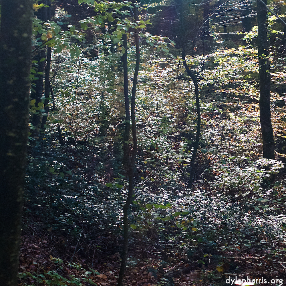 image: Image 'terres rouges (vi) 1'