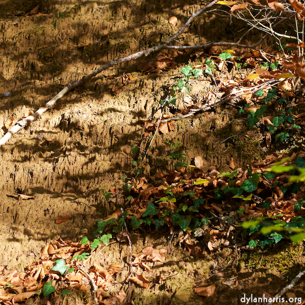 image: This is ‘
terres rouges (vi) 5
’.