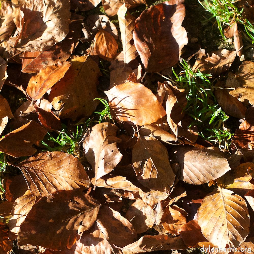 image: This is ‘
terres rouges (vi) 7
’.