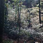 image: Image from the photoset ‘
terres rouges (vi)
’.