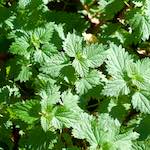 image: Image from the photoset ‘
terres rouges (vi)
’.