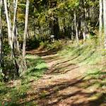 image: Image from the photoset ‘
terres rouges (vi)
’.