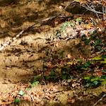 image: Image from the photoset ‘
terres rouges (vi)
’.