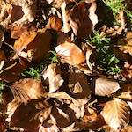 image: Image from the photoset ‘
terres rouges (vi)
’.