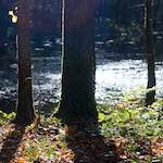 Image: terres rouges (vi) photoset