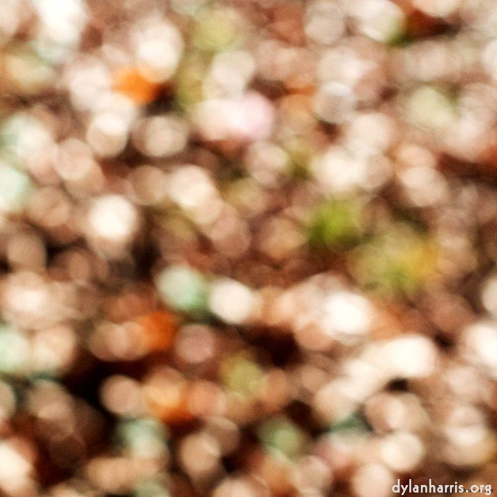 Image 'wood (xvii) 1'