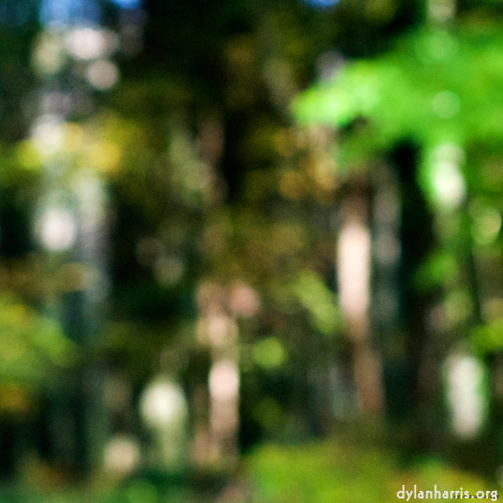 Image 'wood (xvii) 2'