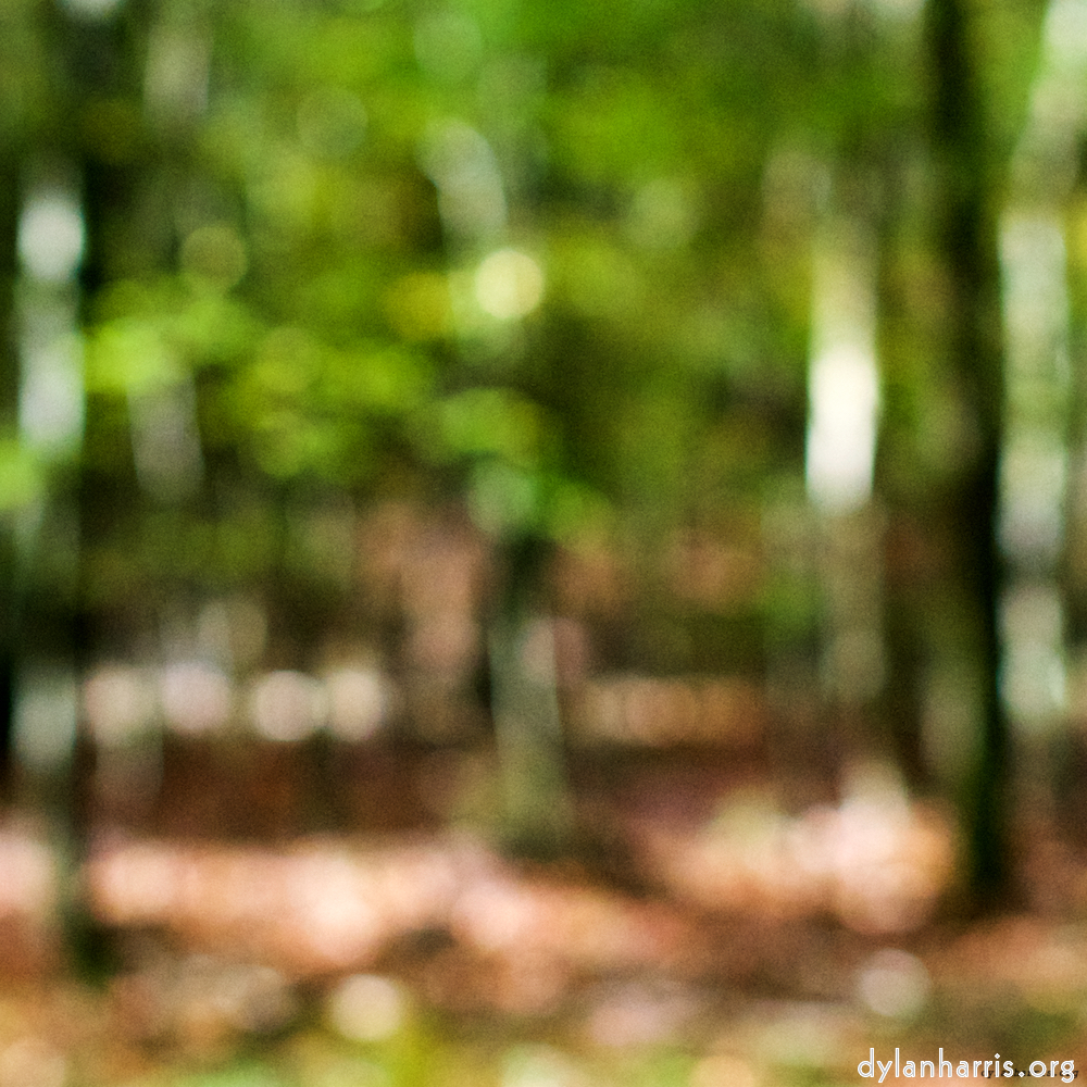 Image 'wood (xvii) 7'.