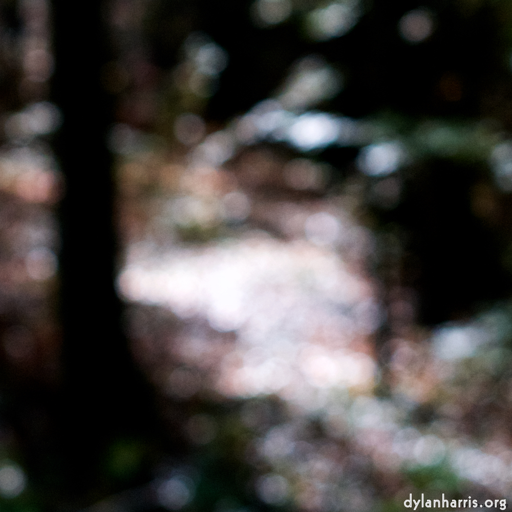 Image: 2018 november