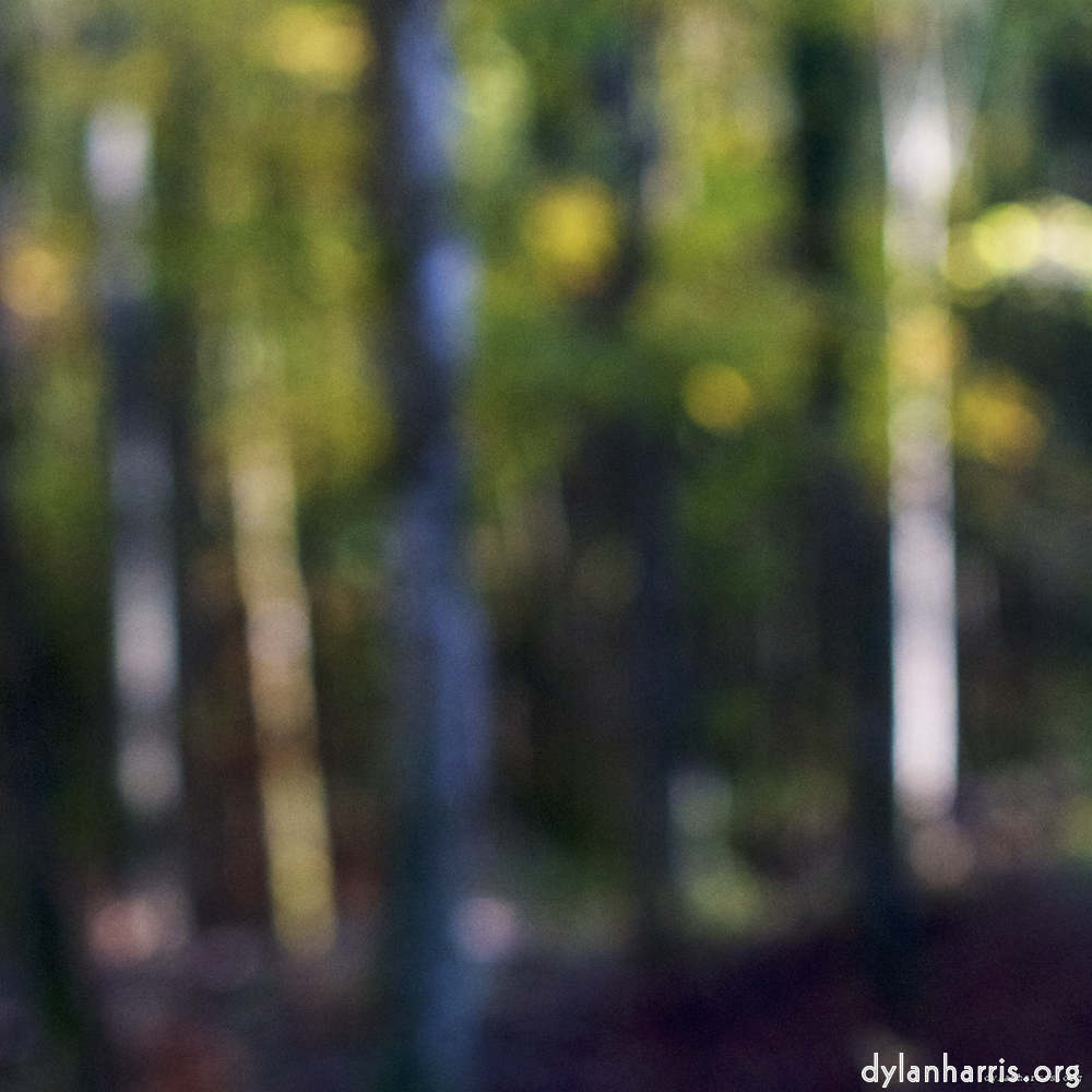 image: This is ‘
wood (xviii) 5
’.