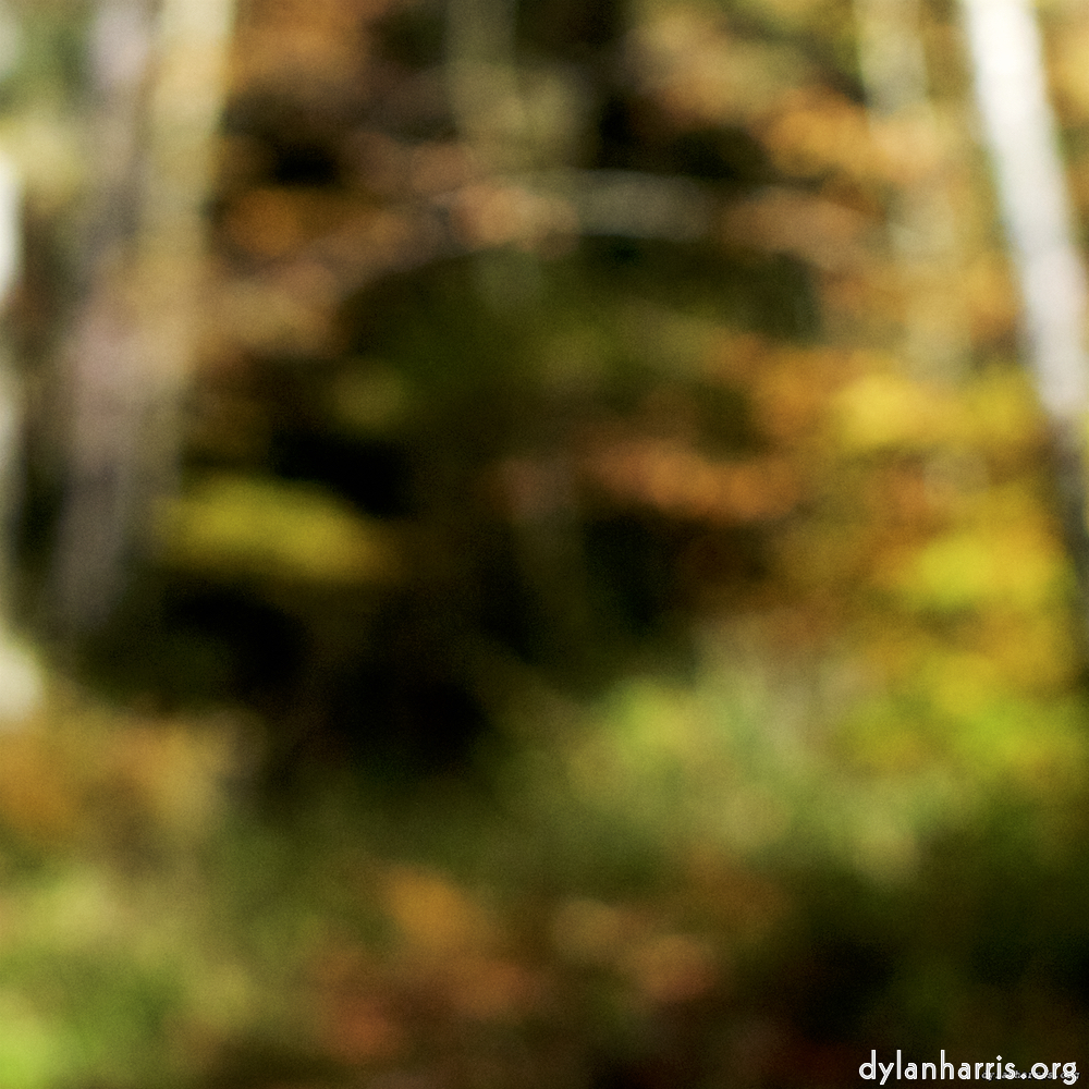 image: This is ‘
wood (xix) 5
’.