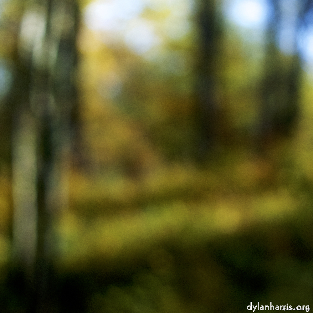 image: This is ‘
wood (xix) 7
’.