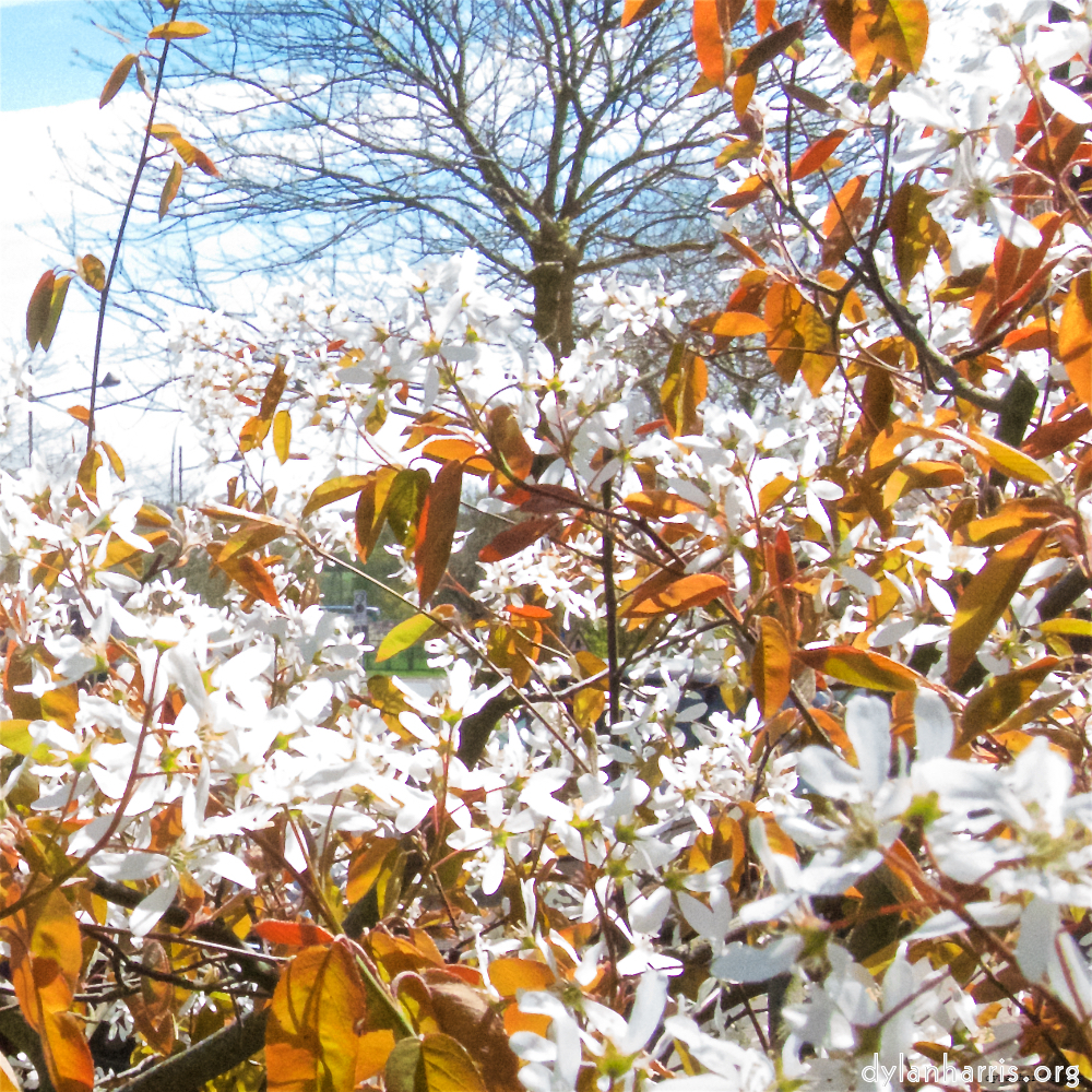 image: This is ‘
konscht am gronn (i) 2
’.