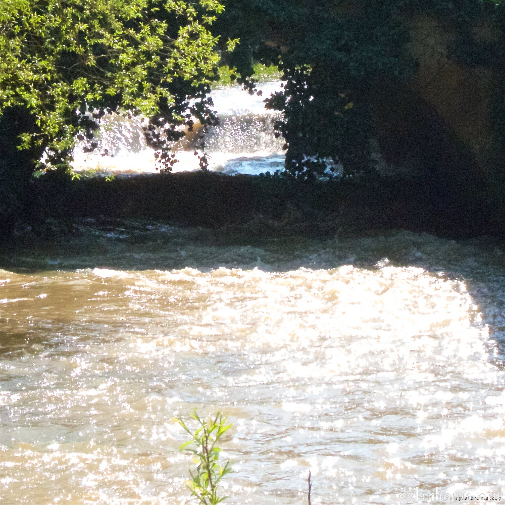 image: This is ‘
konscht am gronn (i) 5
’.