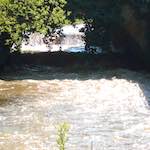 image: Image from the photoset ‘
konscht am gronn (i)
’.