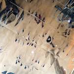 image: Image from the photoset ‘
flower (xx)
’.