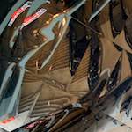 image: Image from the photoset ‘
flower (xx)
’.