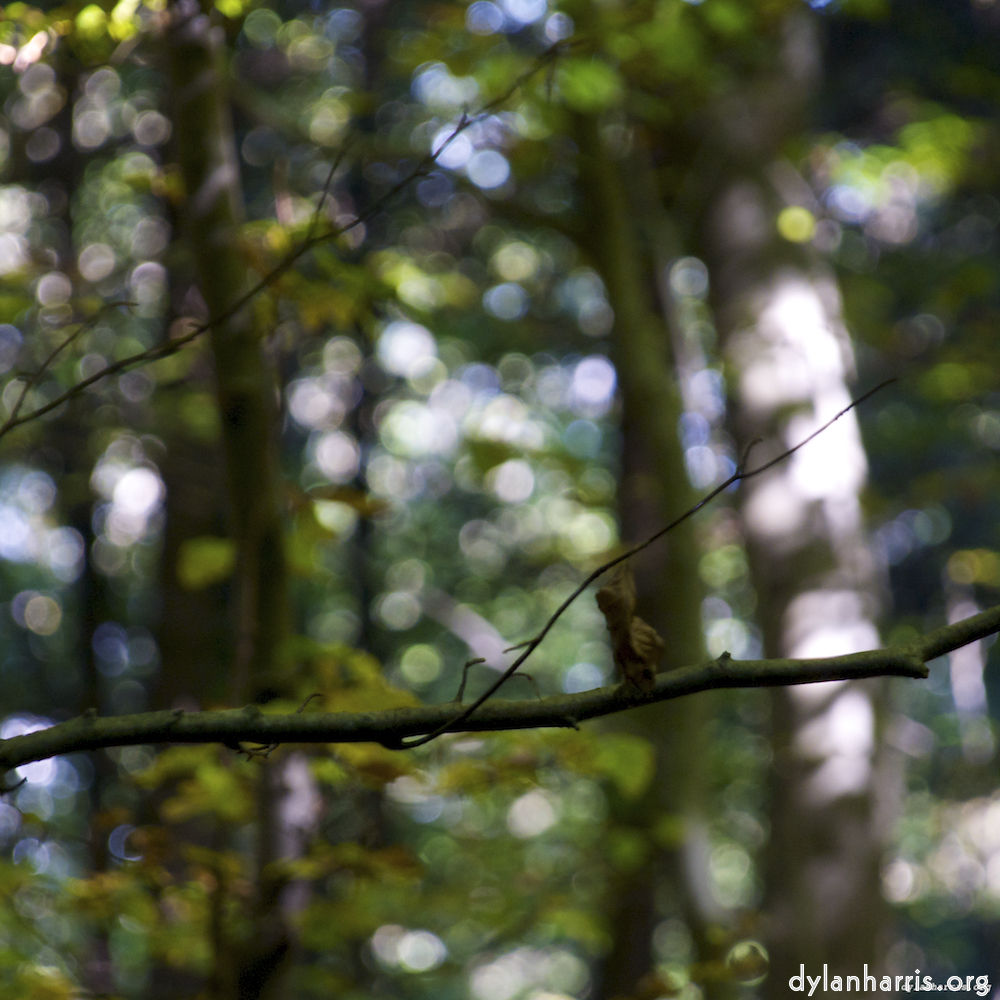 Image: Image 'zürich (ii) 1'.