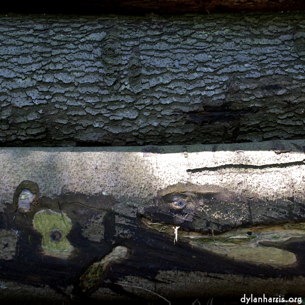 Image: Image 'zürich (ii) 2'.