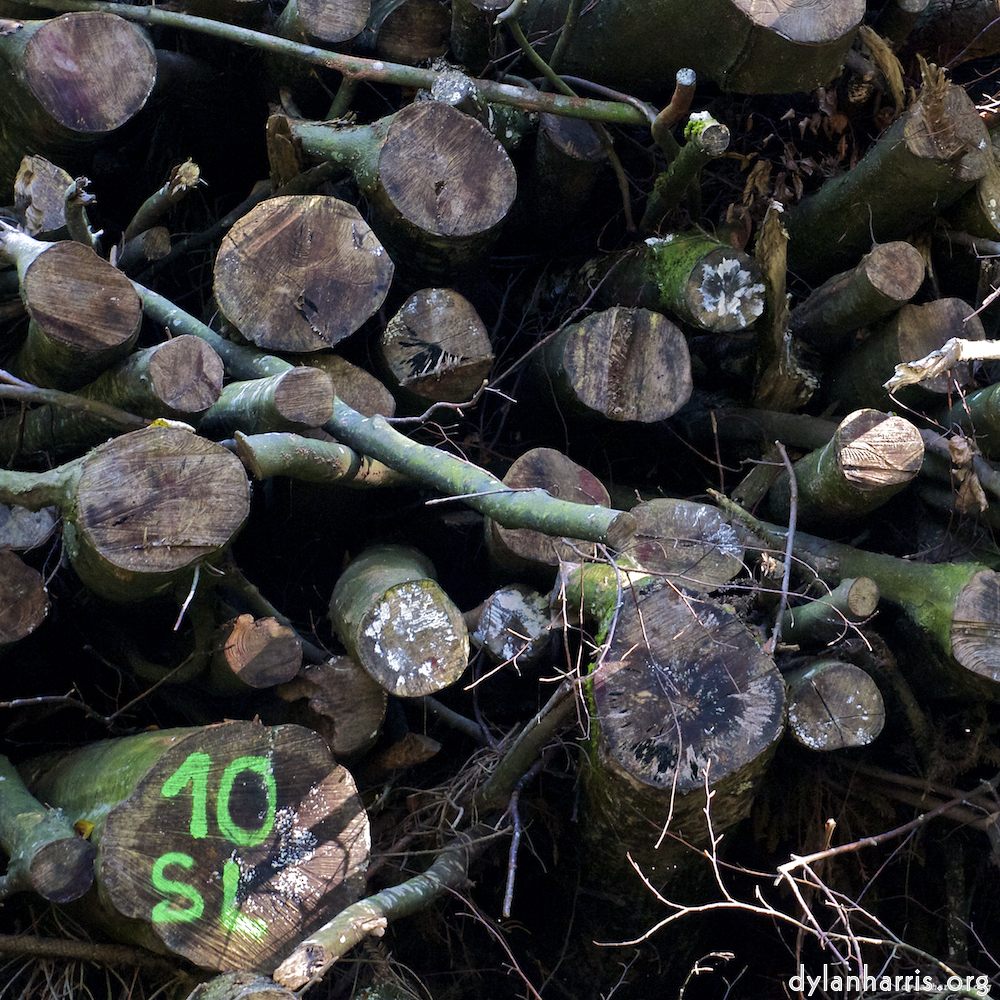 Image: Image 'zürich (ii) 3'.