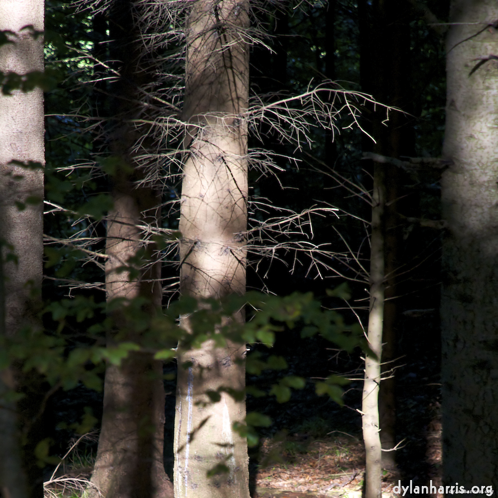 Image 'zürich (ii) 4'.