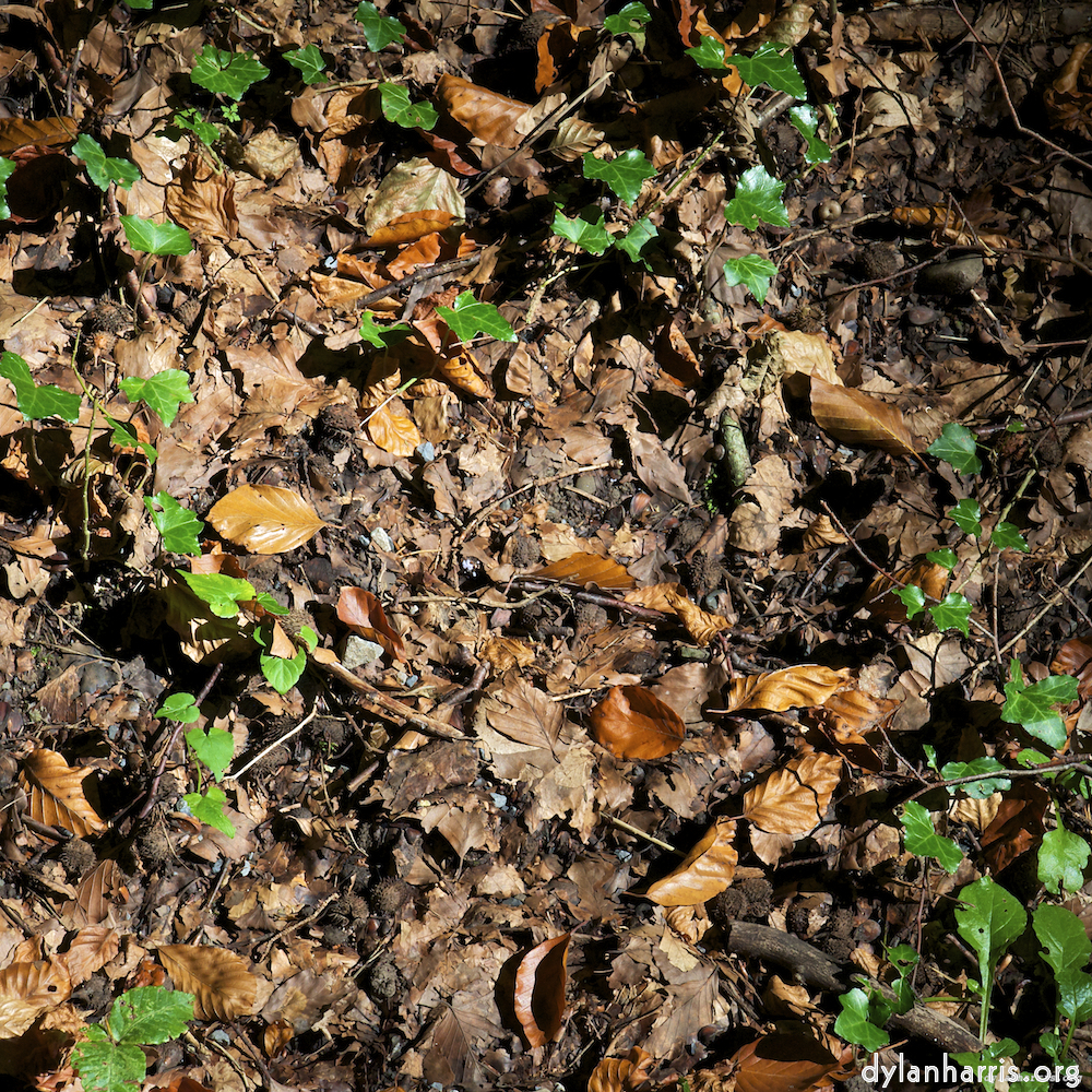 Image 'zürich (ii) 5'.