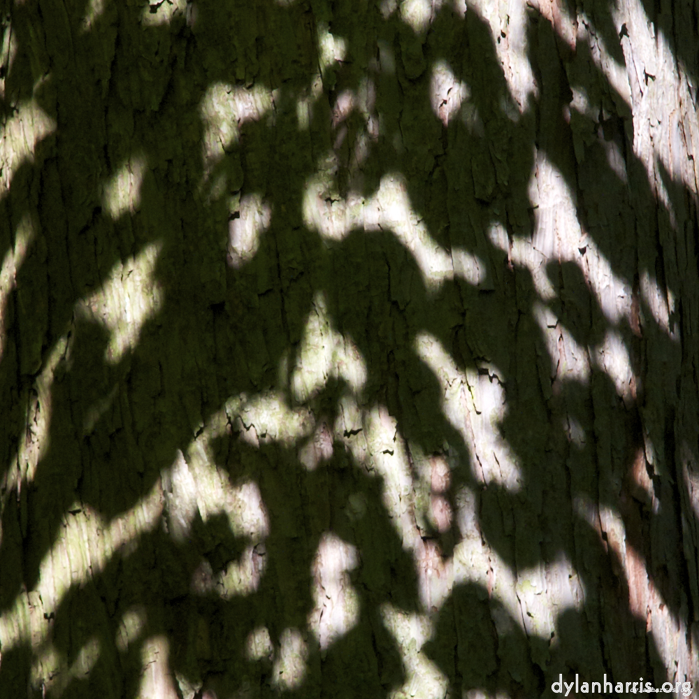 Image 'zürich (ii) 6'.