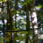 Image: First image from the photoset 'zürich (ii)'.